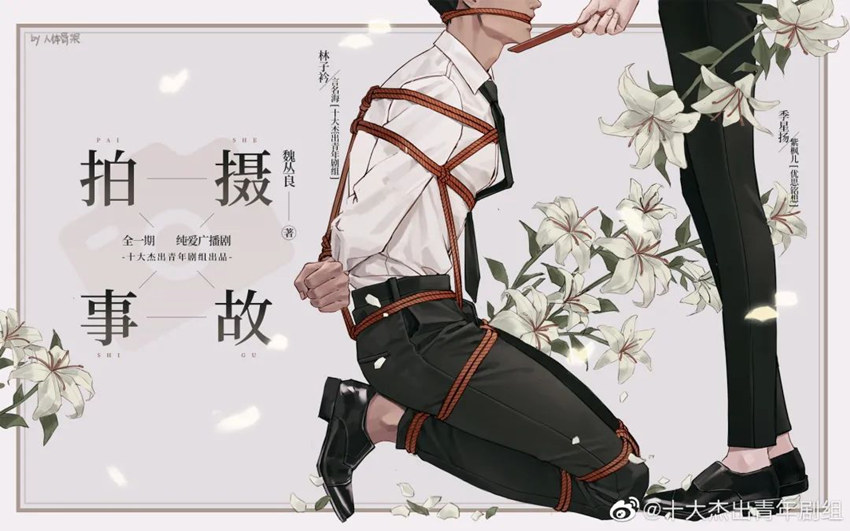 拍摄事故广播剧无删减完整版资源免费收听花间无偿分享（紫枫儿x言名海）