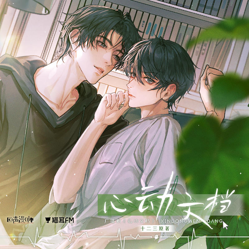 十二三原著《心动文档》广播剧全一季完整版花间资源