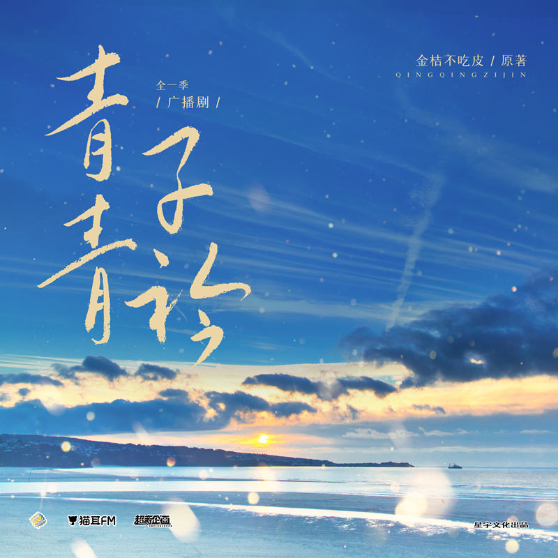 现代都市广播剧《青青子衿》全一季资源合集花间