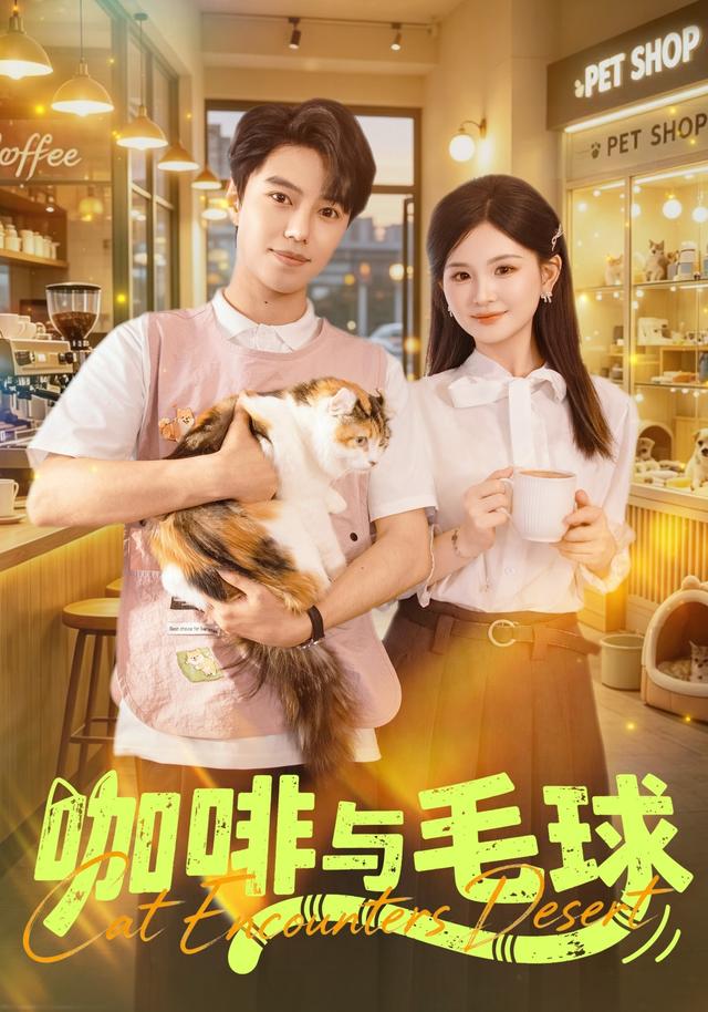 咖啡与毛球